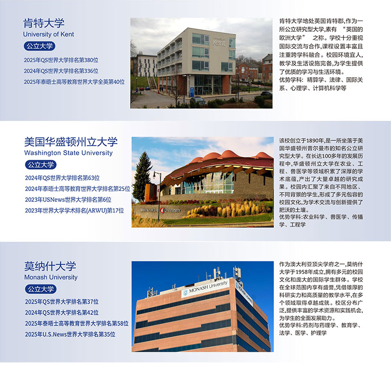 1743585221960517.jpg a2.jpg